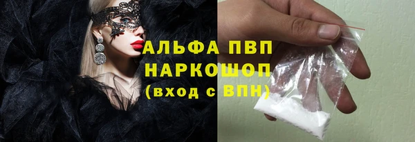 стаф Белокуриха