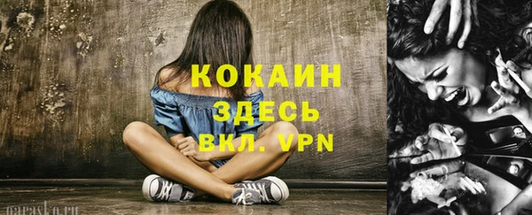 стаф Белокуриха