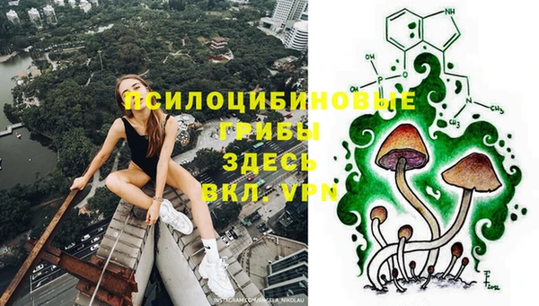 сатива Белоозёрский