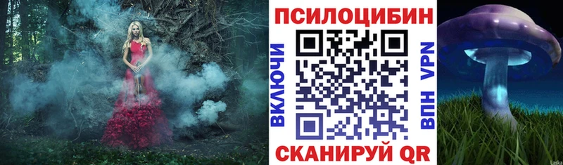 купить закладку  Кунгур  Галлюциногенные грибы GOLDEN TEACHER 
